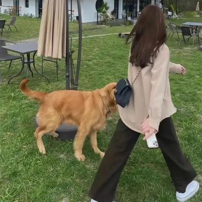 阿奇一家